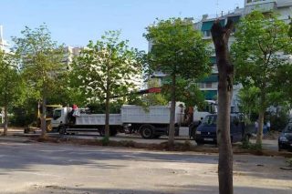 Κάτω Πατήσια: Νέες κοπές δέντρων καταγγέλλουν οι κάτοικοι