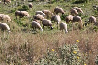 Ψάχνουν τώρα τα «αχρεωστήτως καταβληθέντα»
