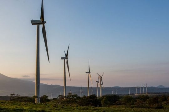Η Chiquita λανσάρει τις πρώτες μπανάνες με ουδέτερο αποτύπωμα διοξειδίου του άνθρακα
