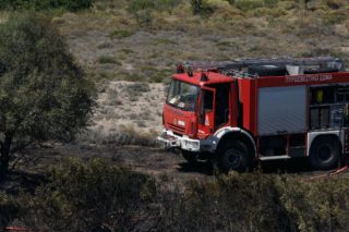 Δύσκολο το αύριο για τον Μεσότοπο της Λέσβου μετά τη φωτιά στον συνεταιρισμό