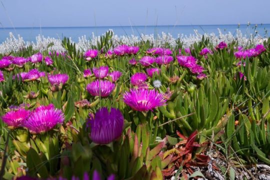 Καιρός: Τα δύο πρόσωπα του Ιούνη