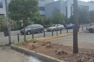 ΜΑΤώνουν παρκάκι για να φυτέψουν κοντέινερ