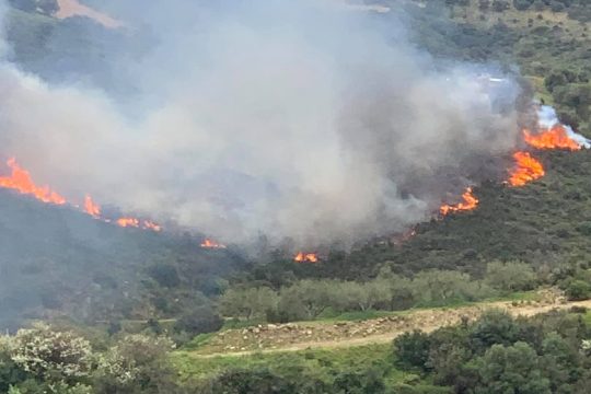 Σε εξέλιξη πυρκαγιά στην περιοχή Ζήρεια της Αχαΐας