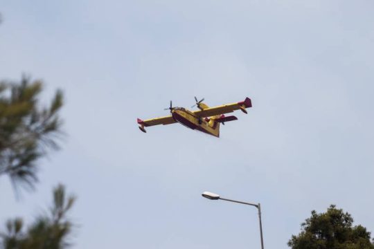 Χωρίς ενεργό μέτωπο η φωτιά στο Σέιχ Σου