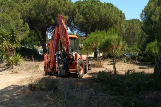 Μπουλντόζες βγήκαν στον Σχινιά