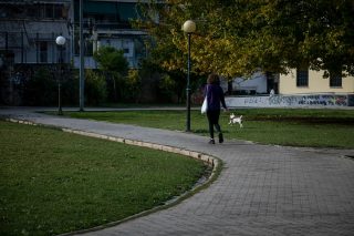 Σκυλομαμά εκ πεποιθήσεως