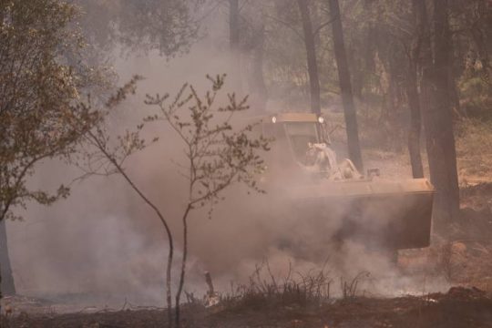 Συνελήφθη ο μελισσοκόμος που είναι ύποπτος για την πυρκαγιά στη Σταμάτα