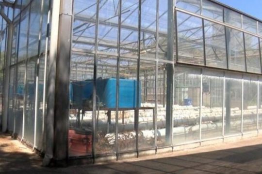Στα Χανιά η πρώτη Μεσογειακή Τράπεζα Σπόρων