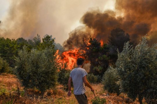 Έξι οι νεκροί από την πύρινη λαίλαπα στην Τουρκία