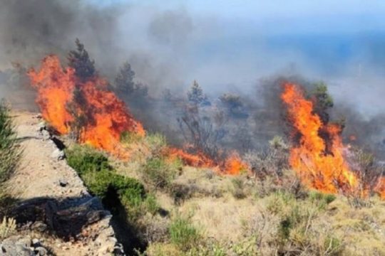 Υπό έλεγχο η μεγάλη πυρκαγιά στη Χίο