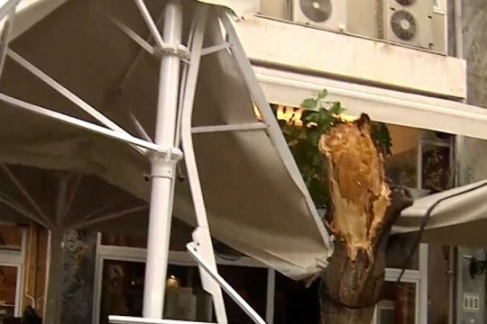 Λεύκα τάραξε το δείπνο Πάιατ – Μενέντεζ