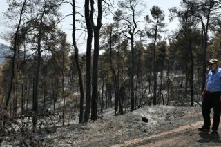 Εξω οι ολιγάρχες από τα καμένα