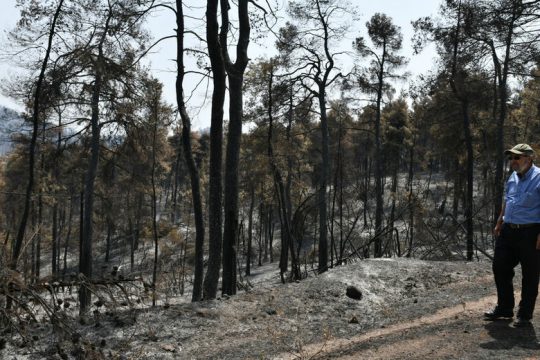 Εξω οι ολιγάρχες από τα καμένα