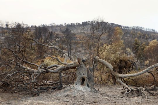 Η επόμενη ημέρα της «αυτογνωσίας»