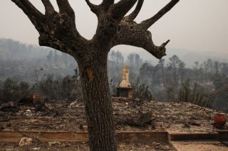 Επιστολή του WWF προς Μητσοτάκη με 63.000 υπογραφές