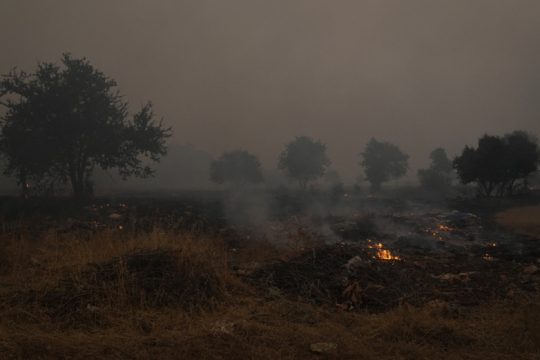 Απαλλαγή πυρόπληκτων από ΕΝΦΙΑ και για αγροτεμάχια