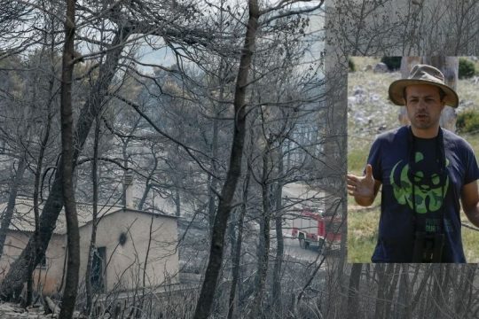 Οι προτάσεις του WWF για την επόμενη μέρα