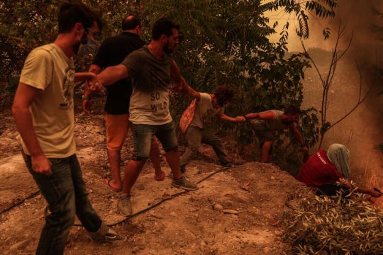Η αλληλεγγύη ανθεί στις στάχτες