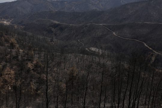 Αλλαγή του μοντέλου αντιπυρικής προστασίας