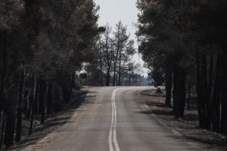 Δειλή απαγόρευση κυνηγιού στα καμένα