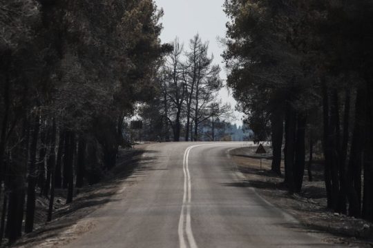 Δειλή απαγόρευση κυνηγιού στα καμένα