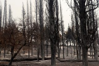 «Το 112; Ναι, αυτό λειτούργησε. Ηταν το μόνο»