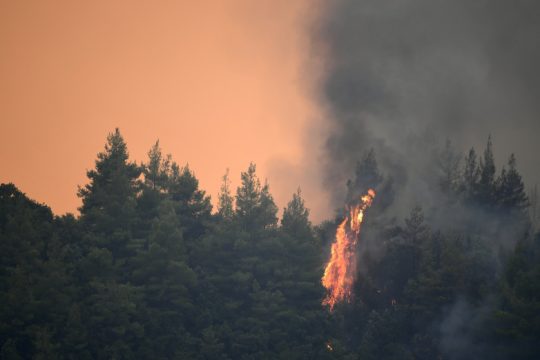 Απανθρακοποίηση, απανθράκωση και το ανεπαρκές κλιματικό αφήγημα