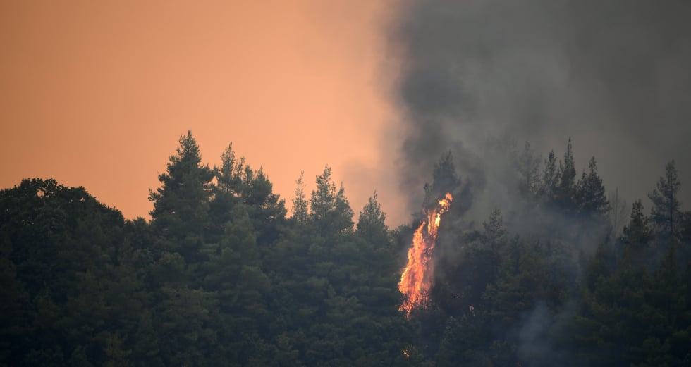 Απανθρακοποίηση, απανθράκωση και το ανεπαρκές κλιματικό αφήγημα