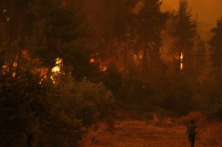 Σε απόγνωση 850 οικογένειες ρετσινάδων