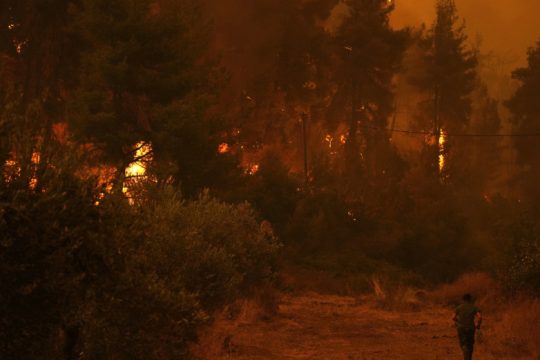 Σε απόγνωση 850 οικογένειες ρετσινάδων