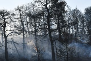 Νέες γαλάζιες αιχμές για τις φωτιές