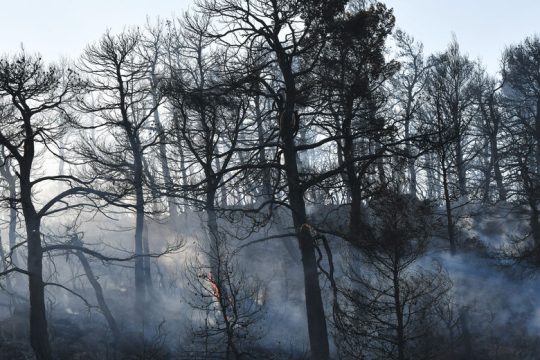 Νέες γαλάζιες αιχμές για τις φωτιές