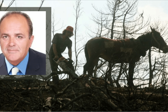 Αποψίλωση και αντιπλημμυρικά προβληματίζουν τρεις δήμους