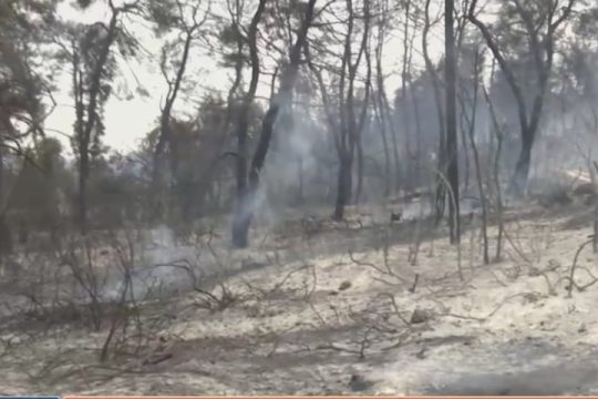 Ασυγκράτητη οργή από την Εύβοια για την ανείπωτη καταστροφή 