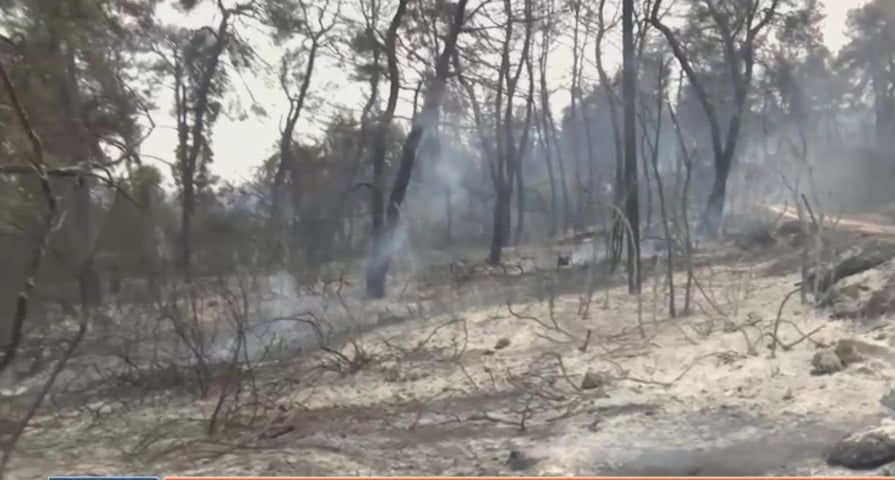 Ασυγκράτητη οργή από την Εύβοια για την ανείπωτη καταστροφή