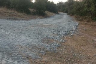 Εκλεισαν το δάσος με τον «λύκο» μέσα