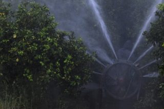 Μαύρη τρύπα στην αυτοαπογραφή