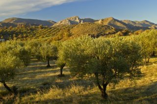 Καταστροφές, απ’ την «καμάδα» στις φωτιές