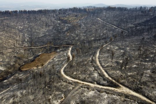 Μεγάλη κινητοποίηση στη Στροφυλιά για τους πυρόπληκτους της βόρειας Εύβοιας