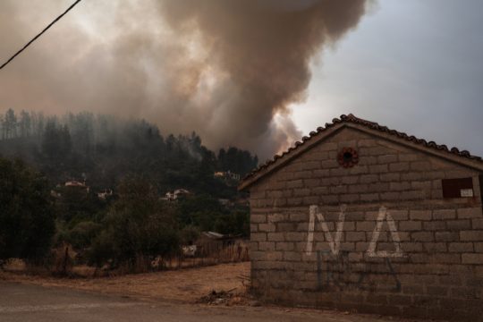 Οι τσογλανοπαρέες δεν κάνουν κριτική