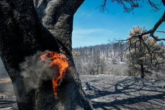 Στο 251 ΓΝΑ ο πυροσβέστης που τραυματίστηκε στην Πάρνηθα