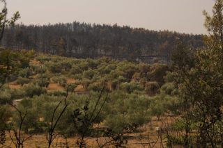 Ανώτατο στάδιο του Μητσοτακισμού