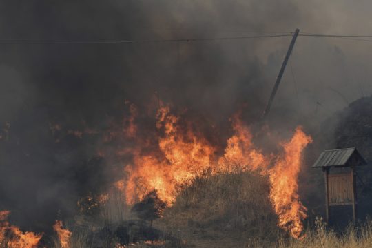 Η Ιταλία θυμήθηκε πάλι (πολύ αργά) τη δασοπροστασία