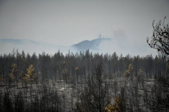 «Να μετατρέψουμε την οργή μας σε αγώνα» – Διαμαρτυρία τη Δευτέρα στο Σύνταγμα
