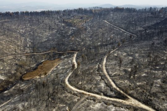 Στη «Διαύγεια» η ΚΥΑ για τα μέτρα προστασίας των θέσεων εργασίας στις πυρόπληκτες περιοχές
