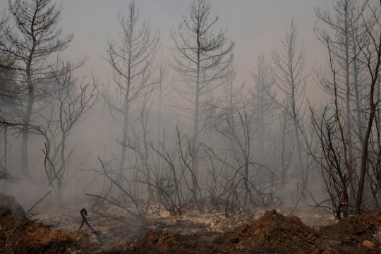 Πολιτικοί κατώτεροι των απαιτήσεων