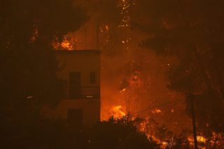 Ολη η ζωή έπρεπε να σωθεί