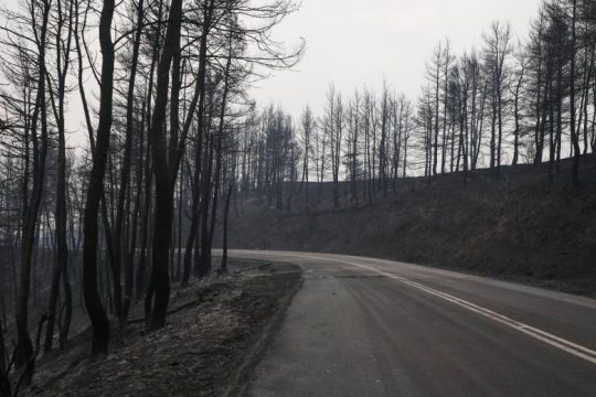 Οι φετινές καμένες εκτάσεις ήδη 180% πάνω από τον μ.ό. των ετών 2008-2020
