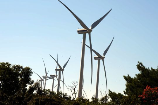 «Οχι στα αιολικά»