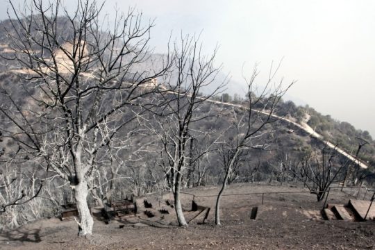 Νεκροί 25 στρατιώτες στις πυρκαγιές της Αλγερίας